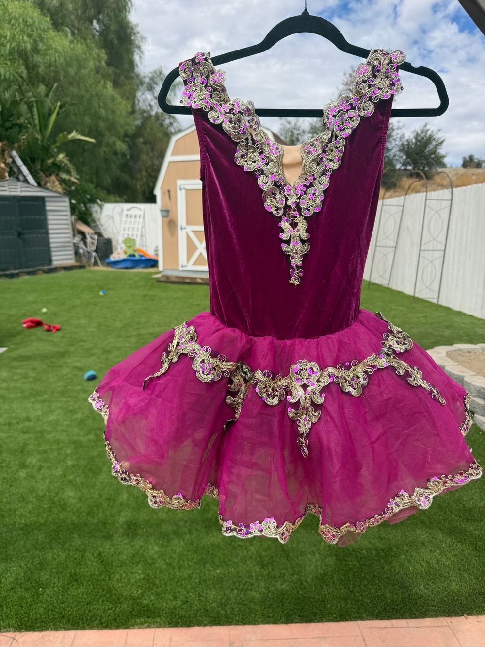 Weissman Plum Lace-Trim Tutu Dress